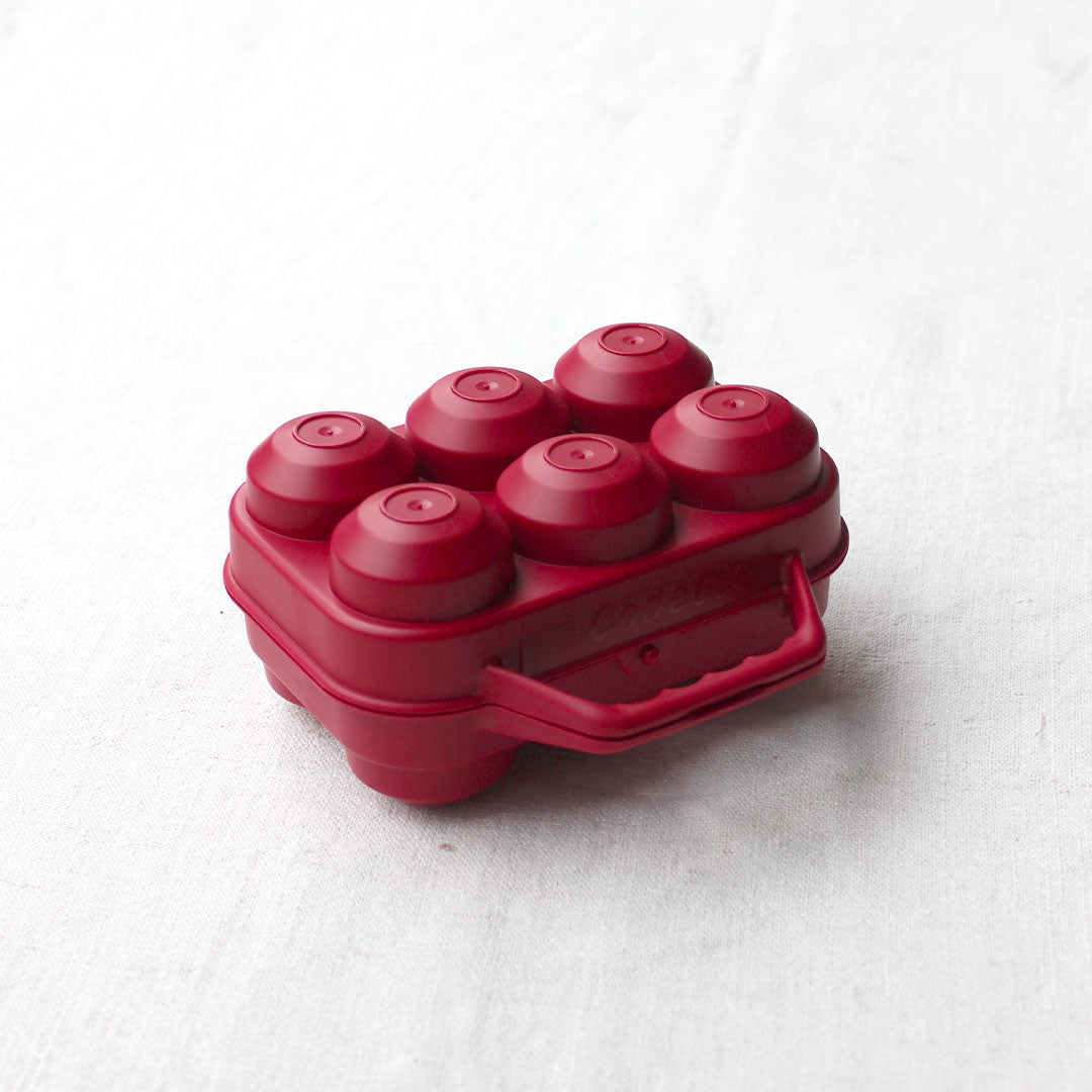 Boite à oeufs en plastique recyclé