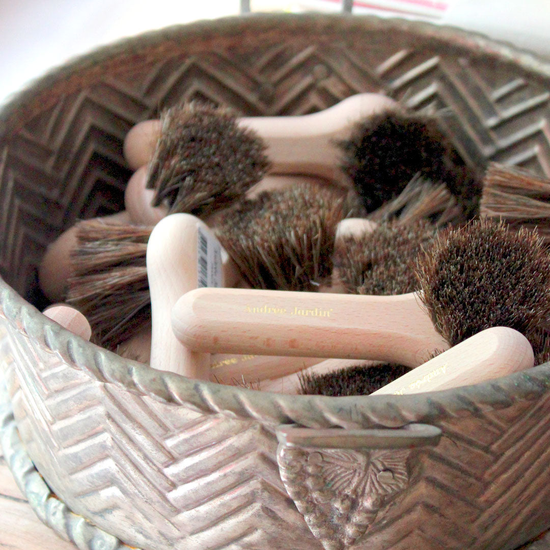 Brosse à champignons et à fruits
