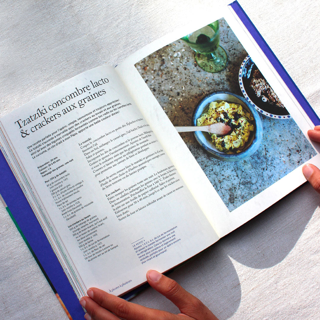 apprendre la fermentation