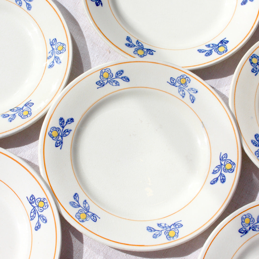Assiettes anciennes décorées de fleurs bleues