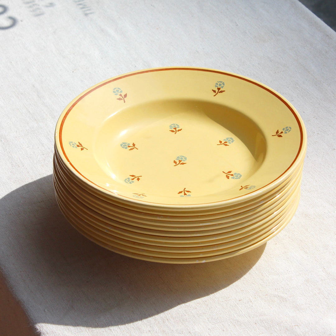 Assiettes en faïence jaune