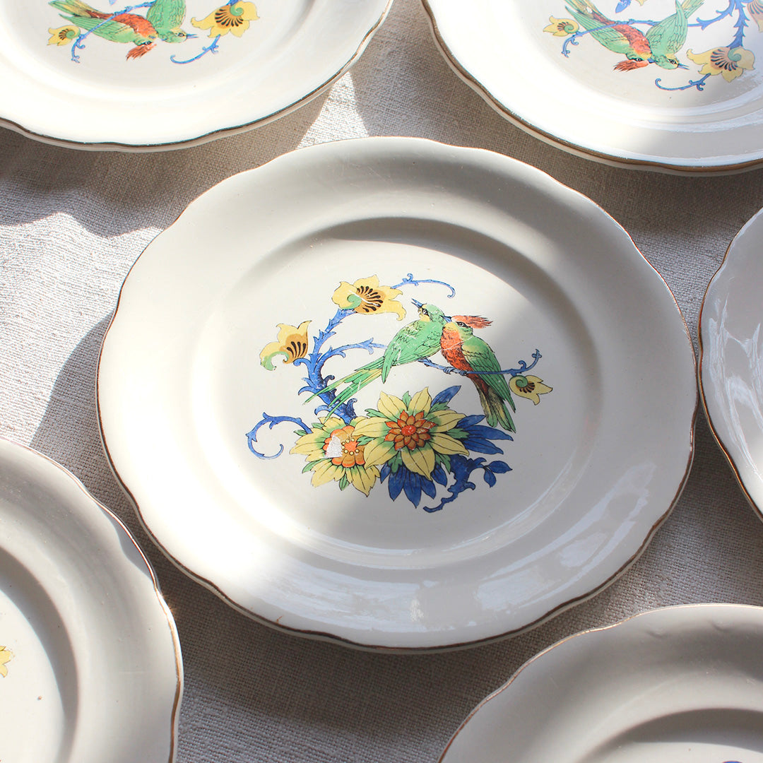8 assiettes à dessert aux oiseaux