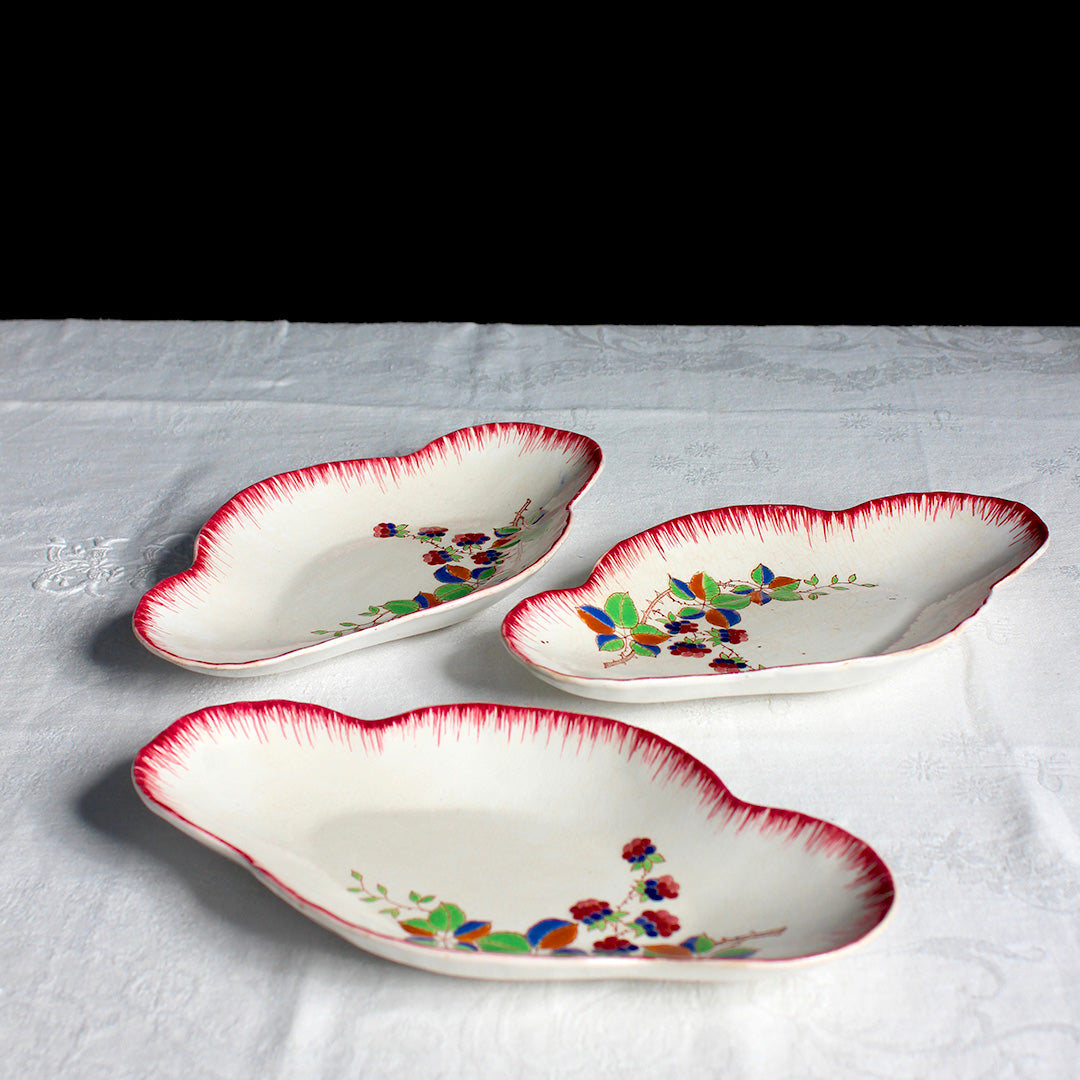 Trio de raviers fleuris aux bords peignés