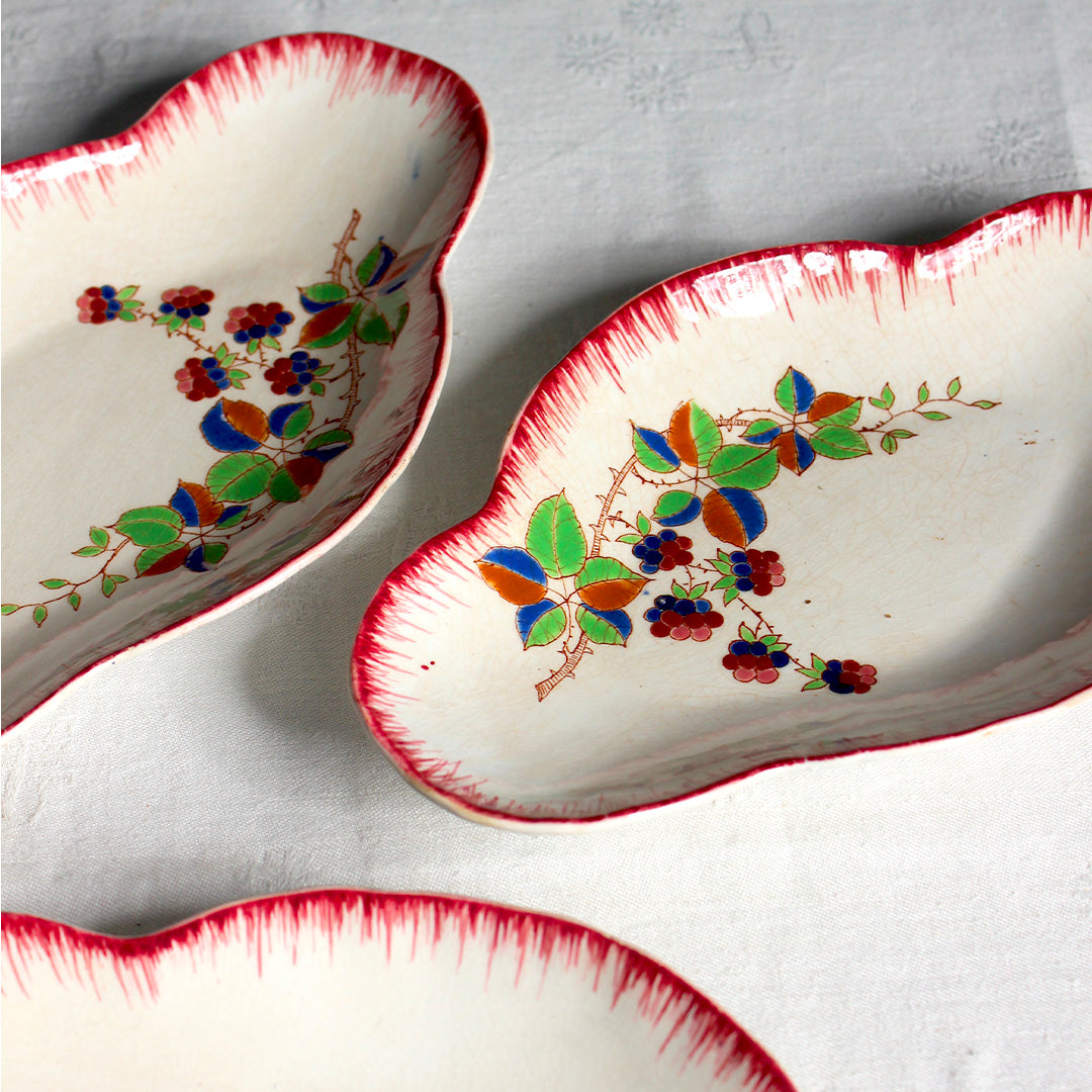 Trio de raviers fleuris aux bords peignés