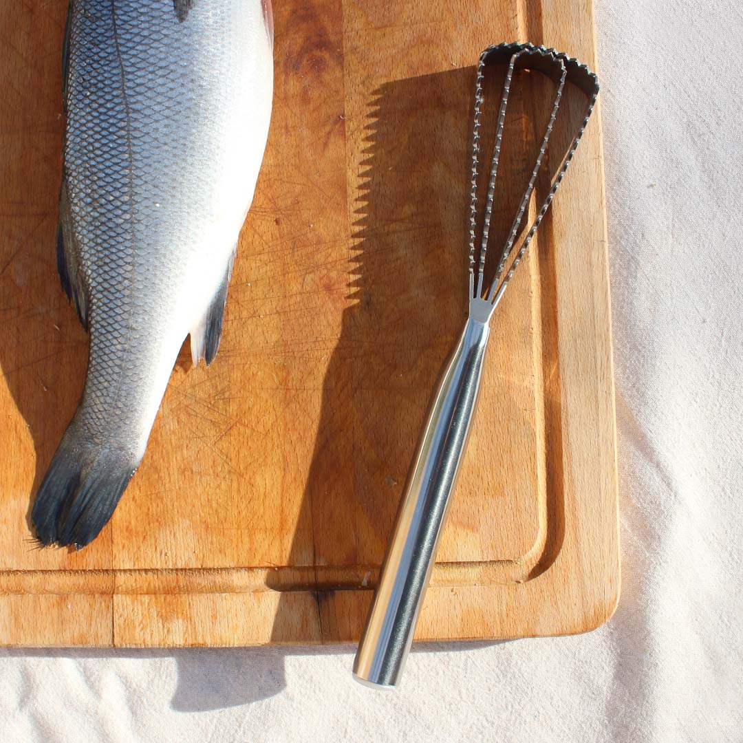 Écailleur à poisson en inox