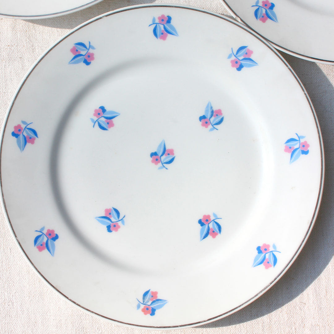 9 assiettes plates de Limoges petites fleurs rose et bleu