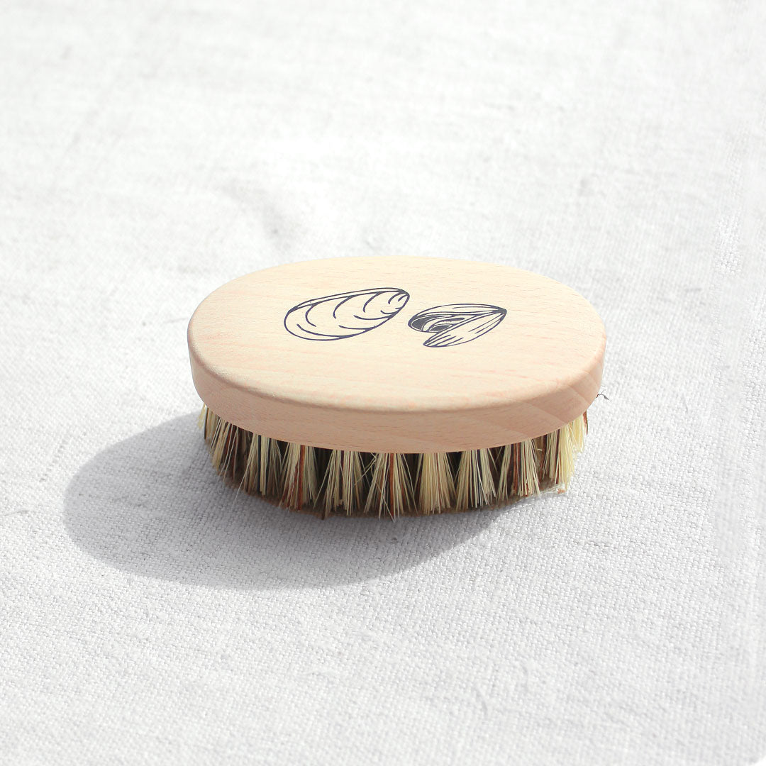 Brosse à coquillages