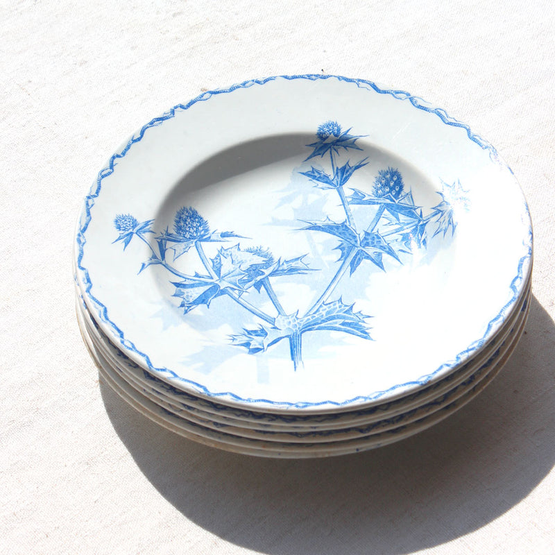 6 assiettes creuses chardons en terre de fer