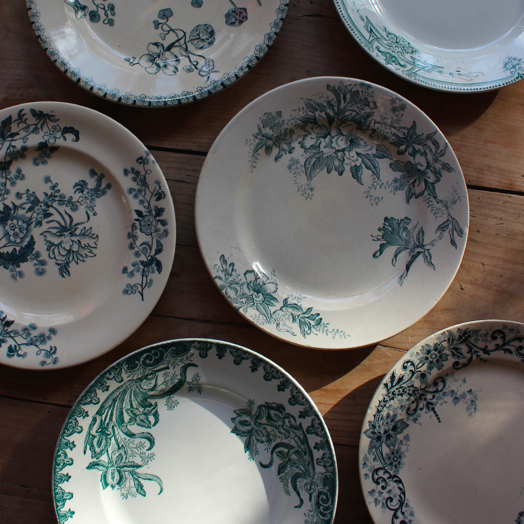 6 assiettes ter de ferre dépareillées