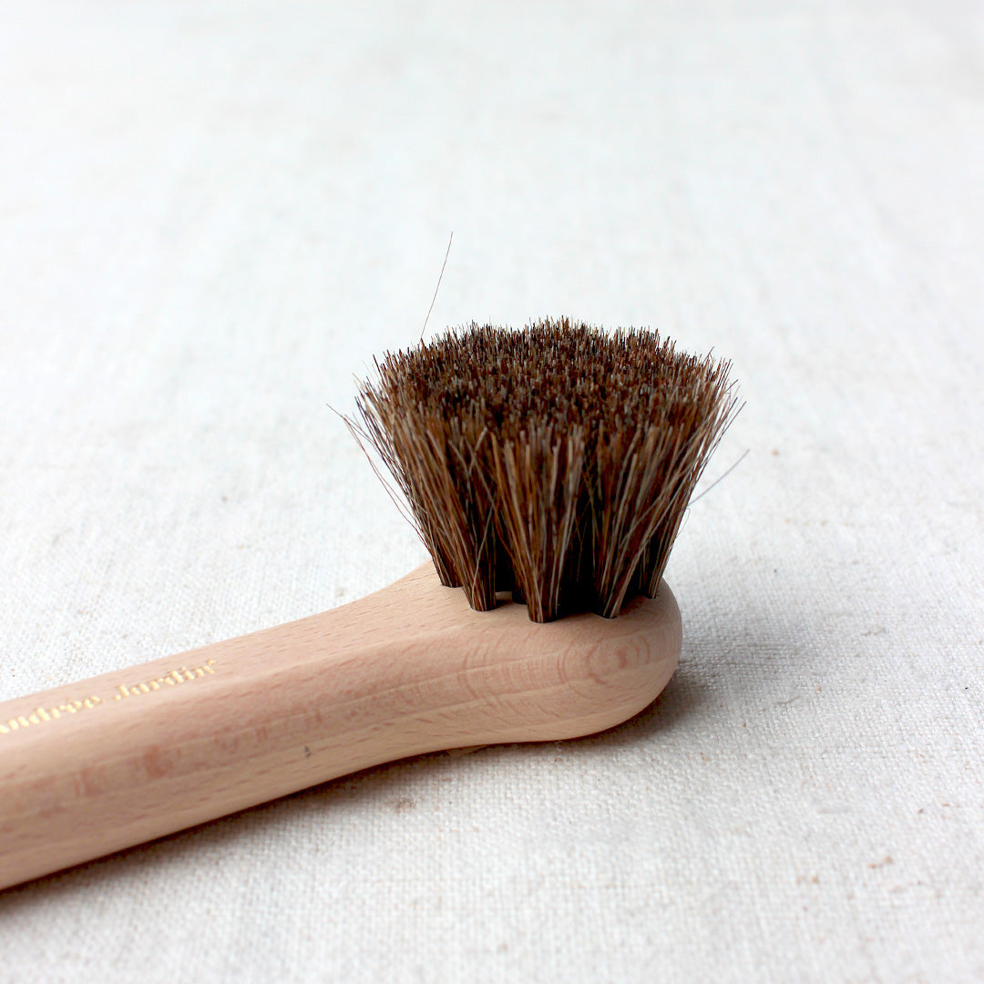 Brosse à champignons et à fruits