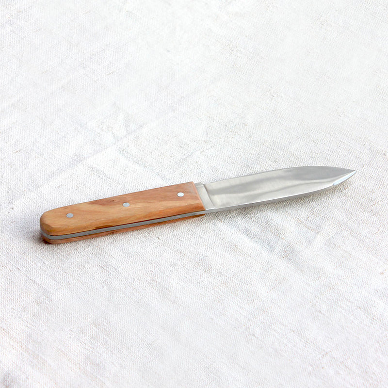 Couteau à coquille Saint-Jacques