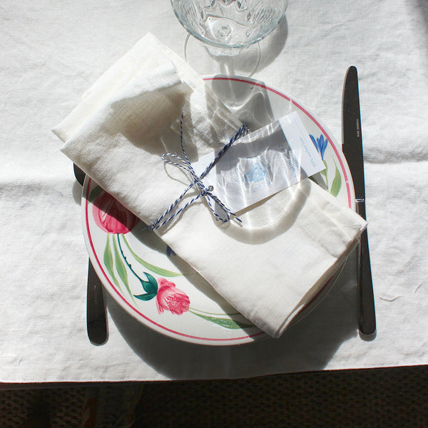 Duo de serviettes de table en lin coloré