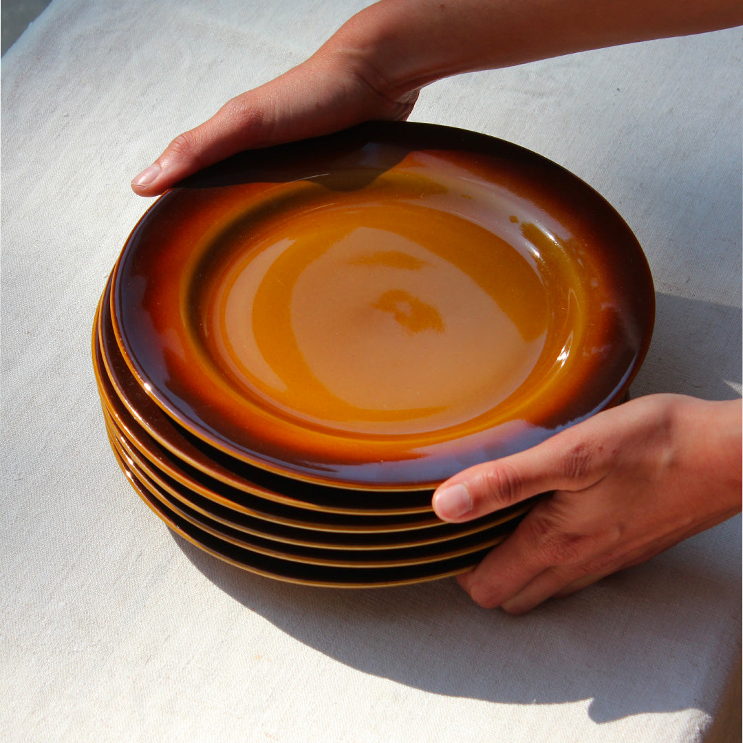 6 assiettes brunes années 70