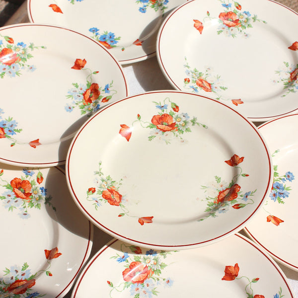 6 Assiettes creuses ivoire au décor fleuri