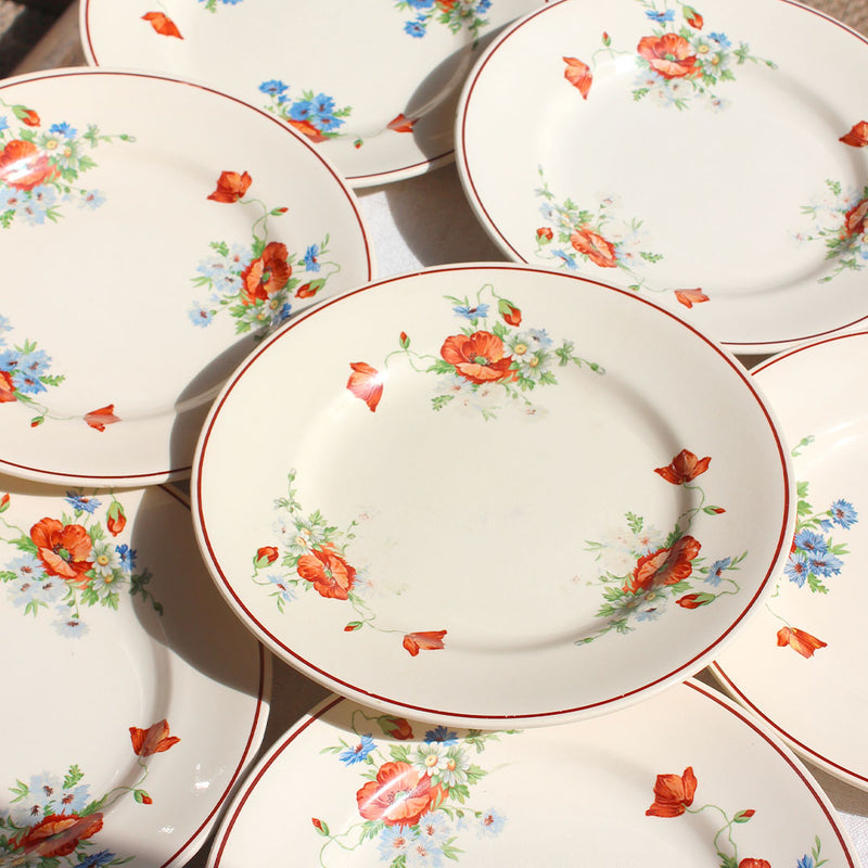 6 Assiettes creuses ivoire au décor fleuri