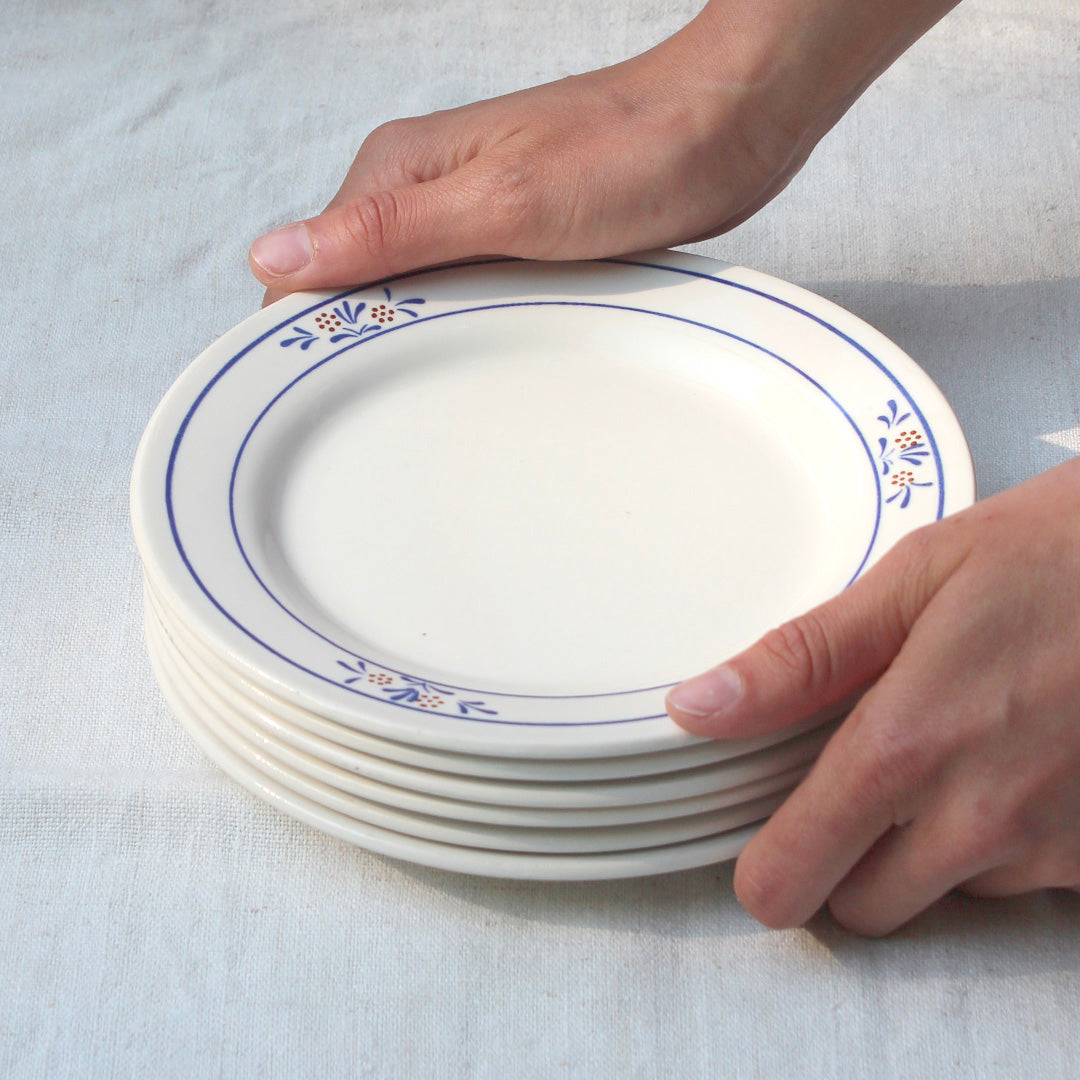 6 assiettes à dessert vintage