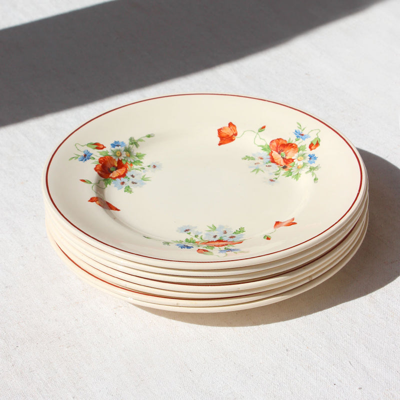 6 Assiettes creuses ivoire au décor fleuri