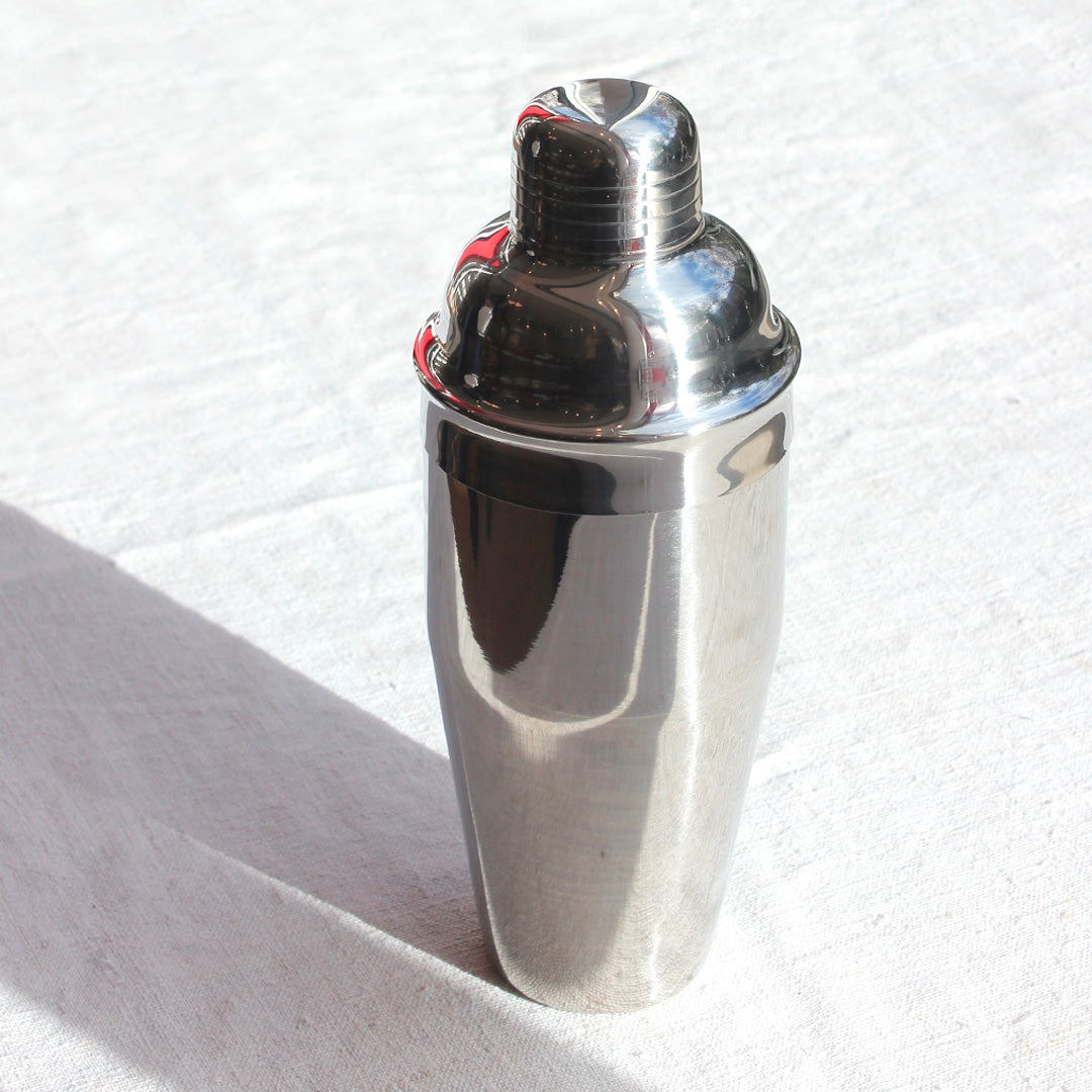 Shaker professionnel en inox
