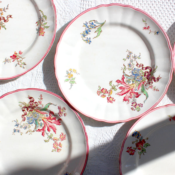 Assiettes plates en terre de fer