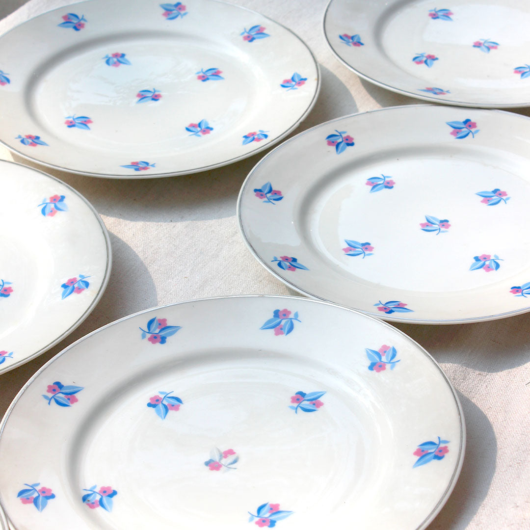 9 assiettes plates de Limoges petites fleurs rose et bleu